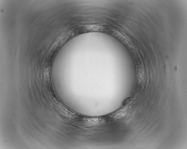 X0000059800473200511111606