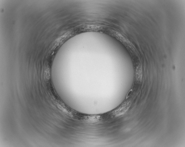 X0000059800474200511111606