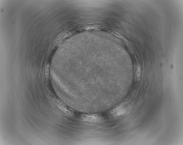 X0000059800475200511111606