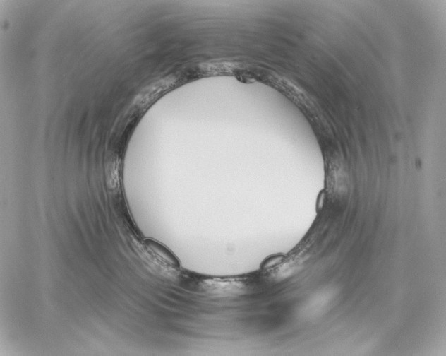 X0000059800477200511111606