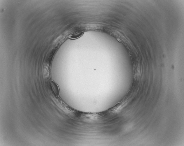 X0000059800478200511111606