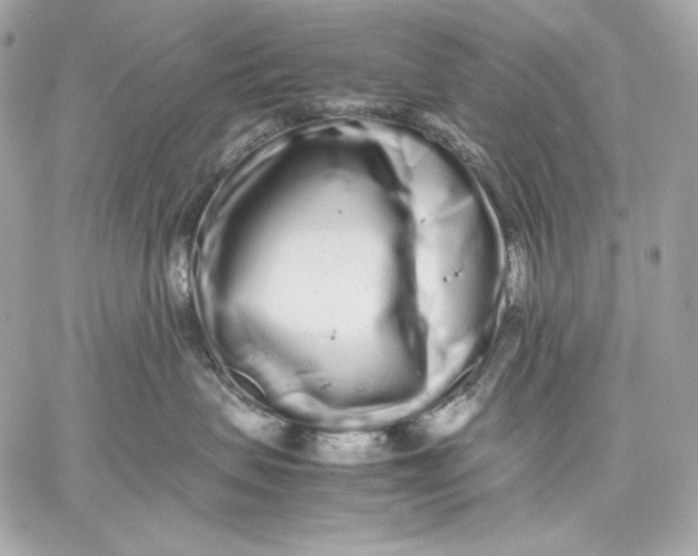 X0000059800479200511111606