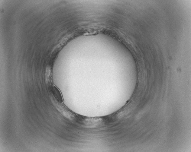 X0000059800480200511111606