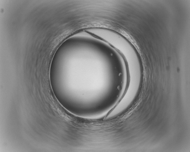 X0000059800481200511111605