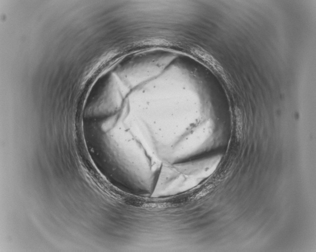 X0000059800482200511111605