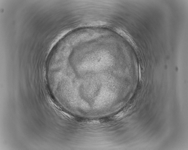 X0000059800483200511111605