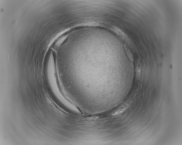 X0000059800484200511111605