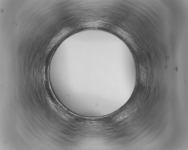 X0000059800486200511111605