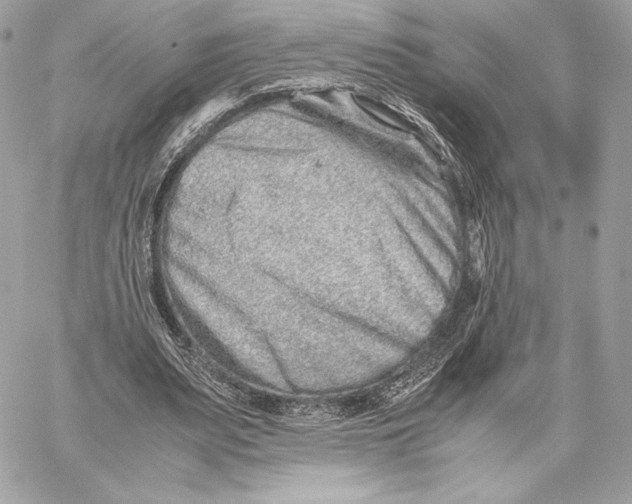 X0000059800487200511111605