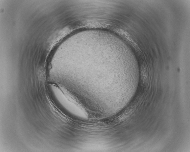 X0000059800488200511111605