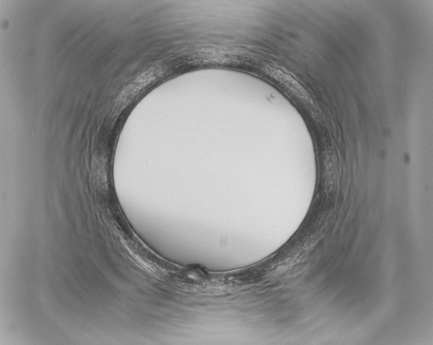 X0000059800489200511111605