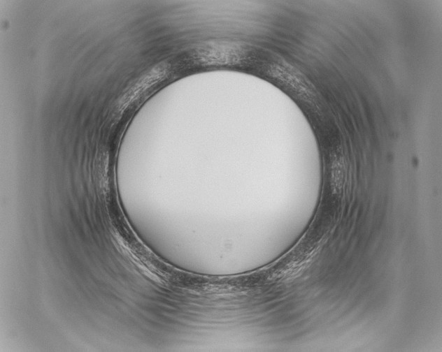 X0000059800490200511111605