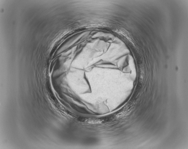 X0000059800491200511111605