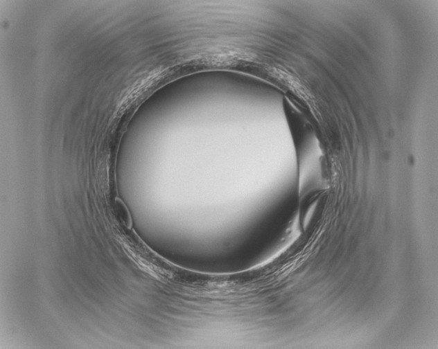 X0000059800493200511111605