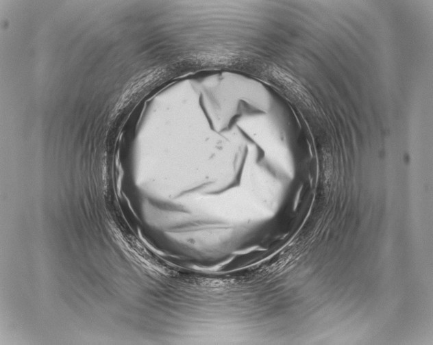 X0000059800494200511111605