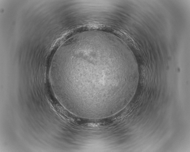 X0000059800496200511111605