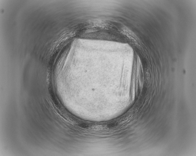 X0000059800499200511111605