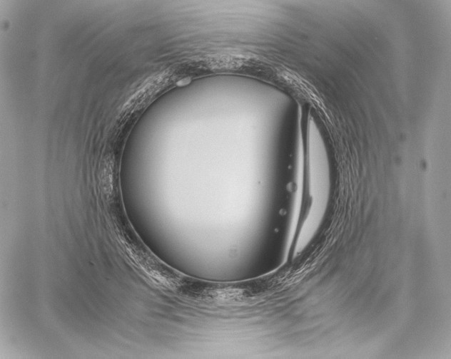 X0000059800501200511111605