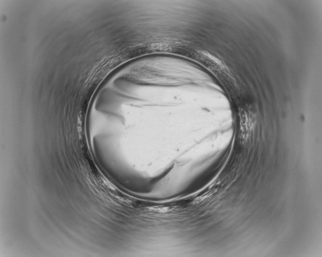 X0000059800502200511111604