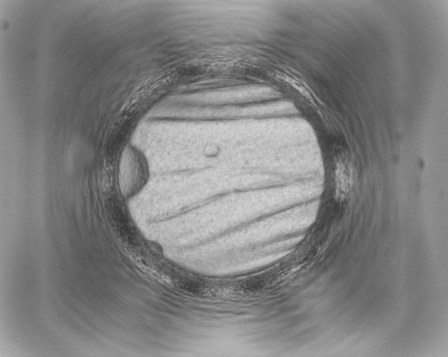 X0000059800503200511111604