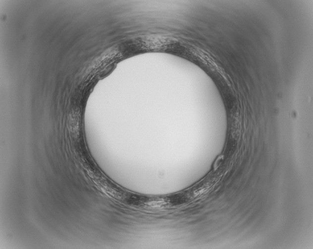 X0000059800505200511111604