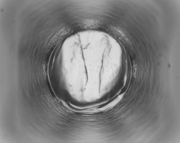 X0000059800506200511111604