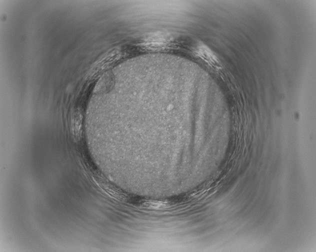 X0000059800507200511111604