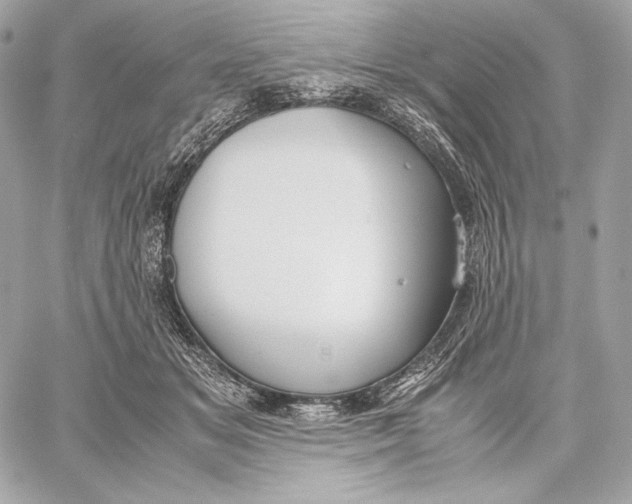 X0000059800509200511111604