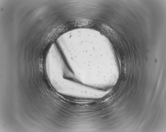 X0000059800510200511111604