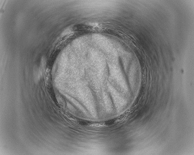 X0000059800511200511111604