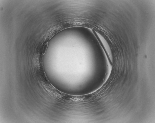 X0000059800512200511111604