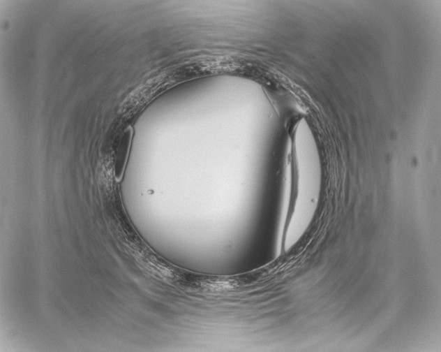 X0000059800513200511111604