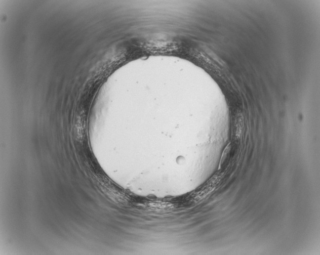 X0000059800515200511111604