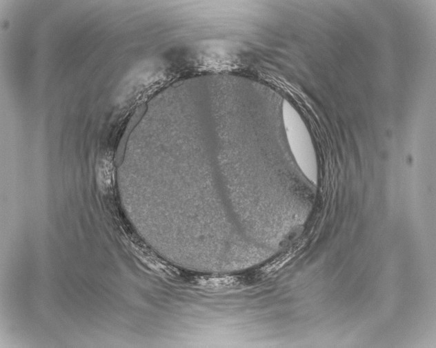 X0000059800517200511111604