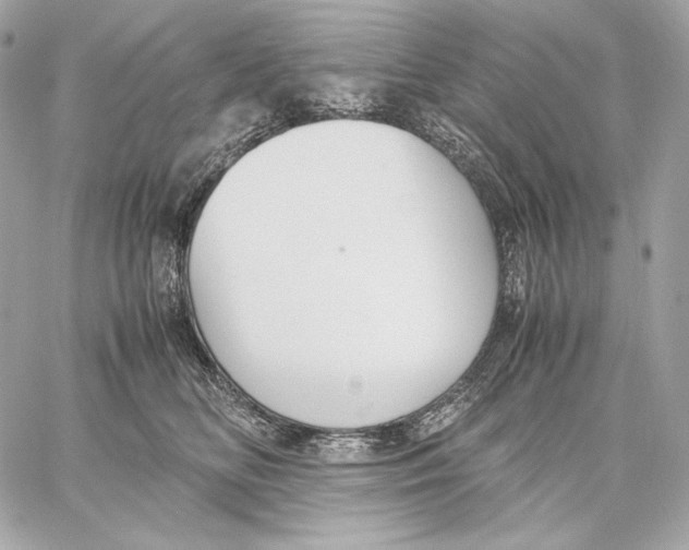 X0000059800518200511111604