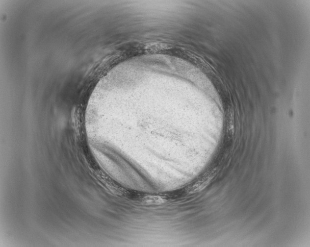 X0000059800519200511111604