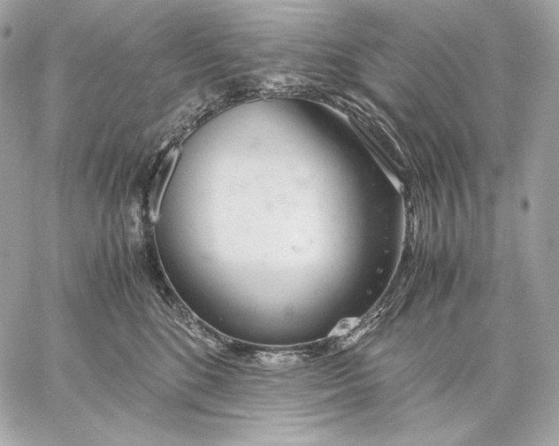 X0000059800520200511111604