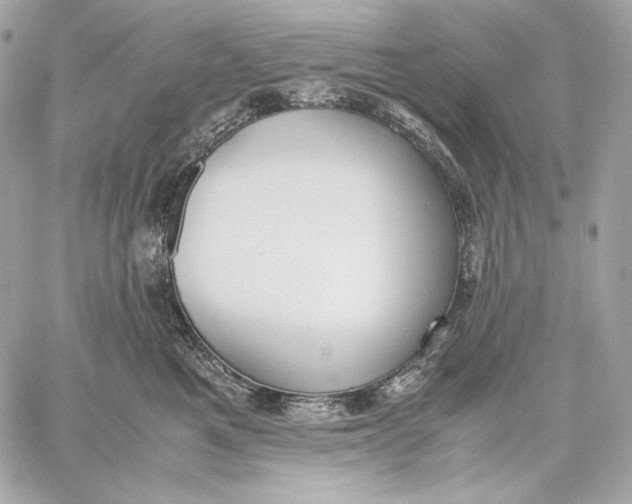 X0000059800521200511111604