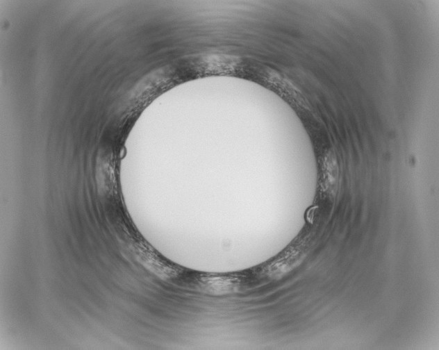 X0000059800522200511111604