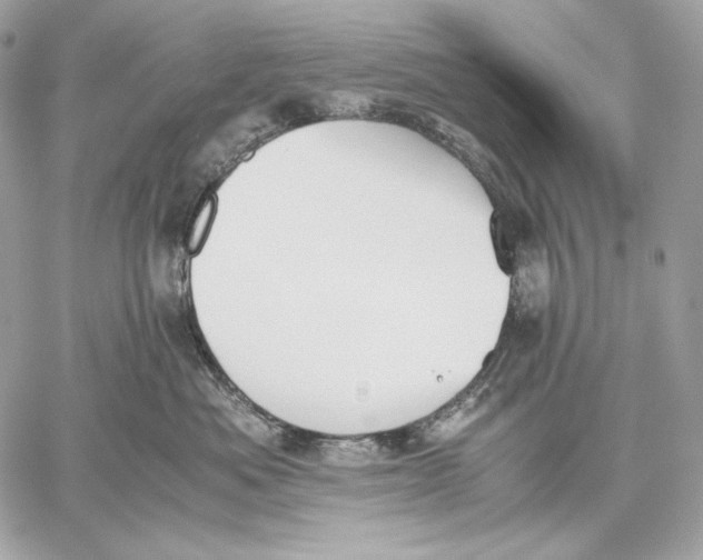 X0000059800525200511111604