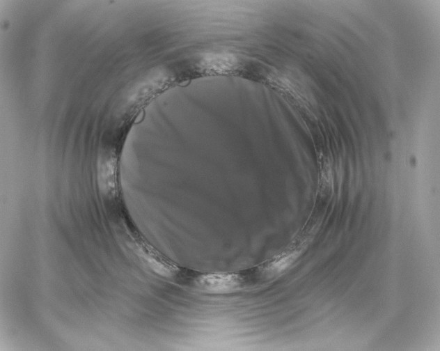 X0000059800526200511111604