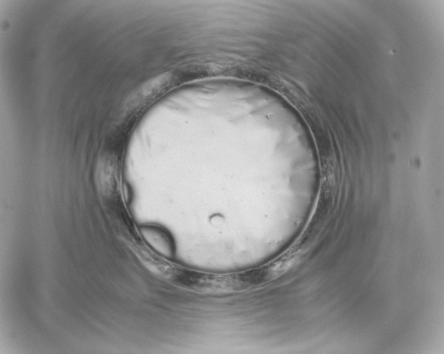 X0000059800527200511111604