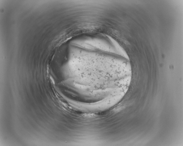 X0000059800528200511111604