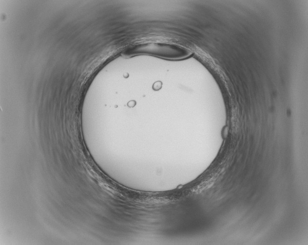 X0000059800529200511111603