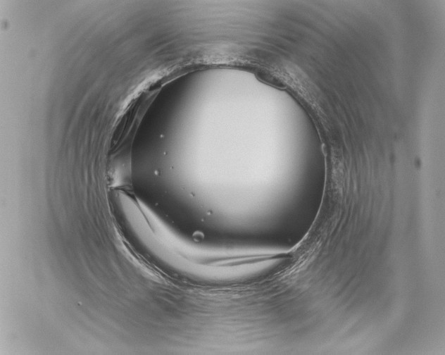 X0000059800530200511111603