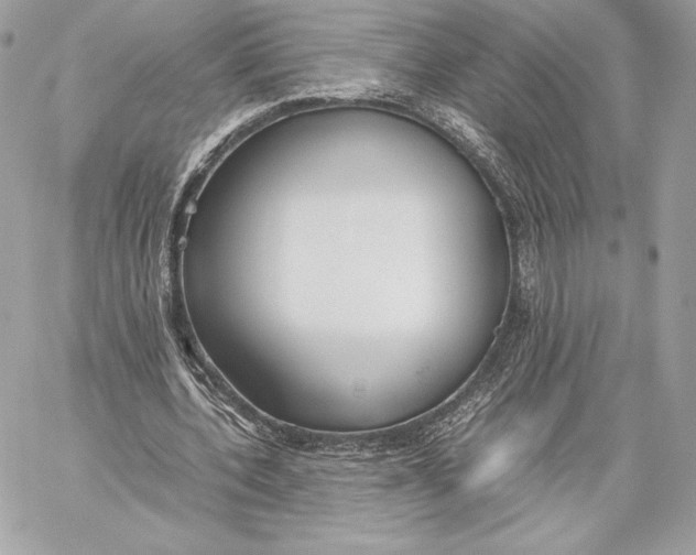 X0000059800532200511111603