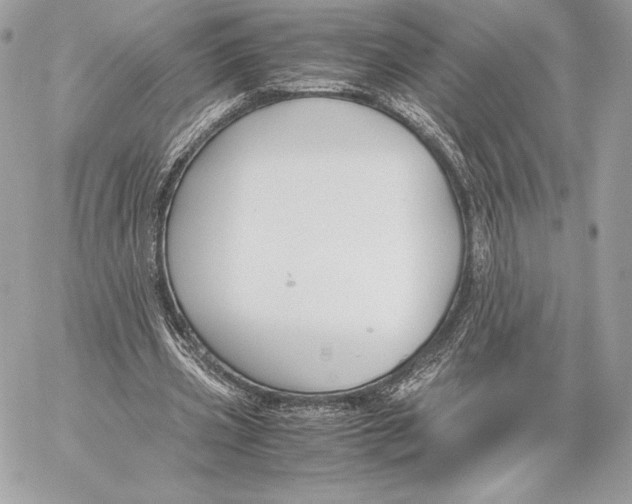 X0000059800533200511111603