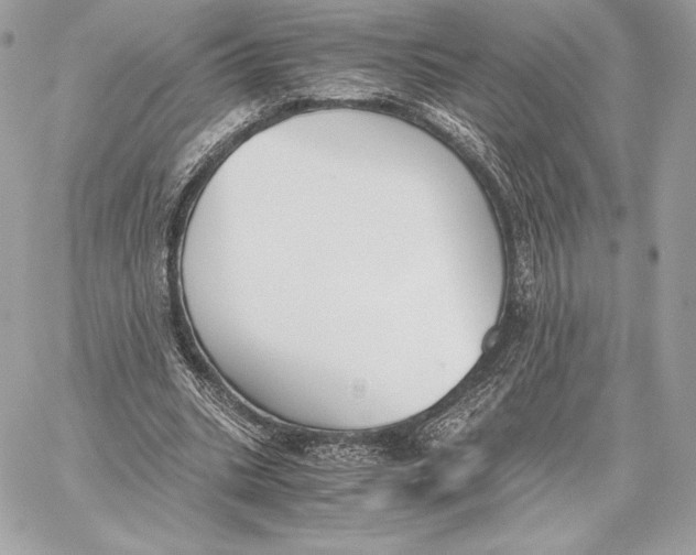 X0000059800535200511111603