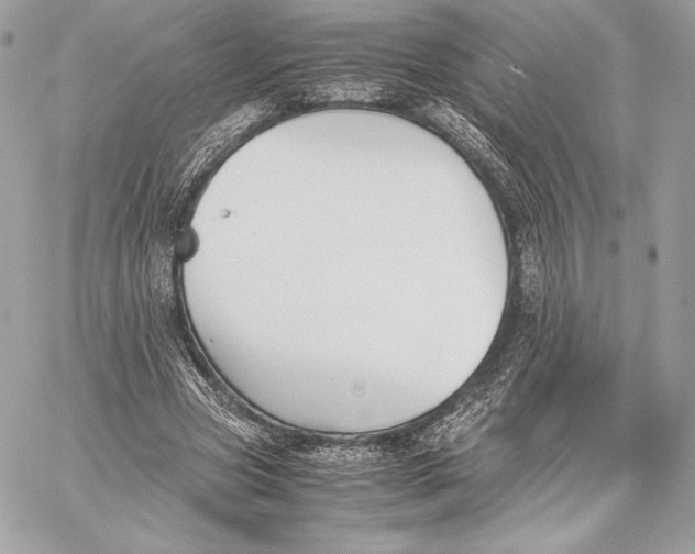 X0000059800537200511111603