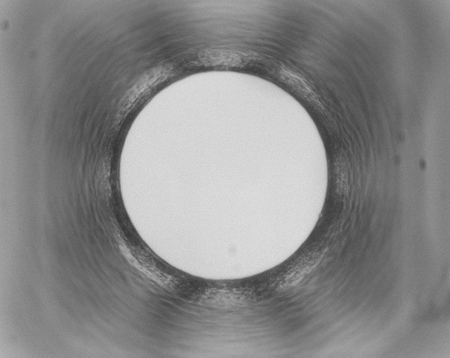 X0000059800538200511111603